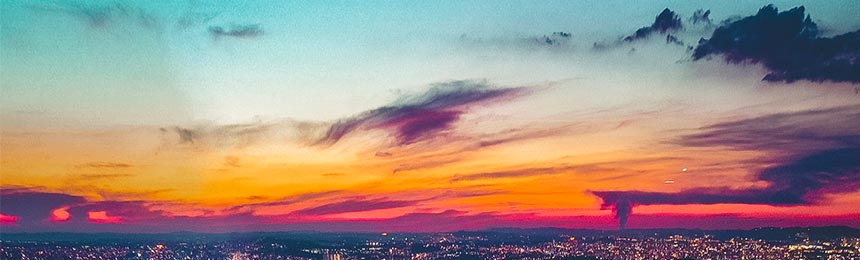 孝感茶虫网_孝感品茶